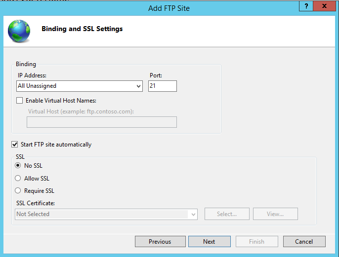 FTP Windows bindings